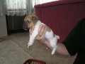 Prodm JRT