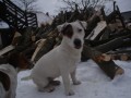 ttka JRT
