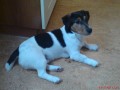 Nabzim ke kryt JRT
