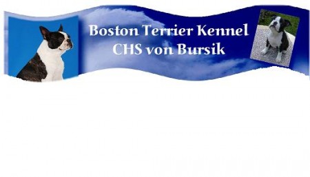 CHS von Bursik