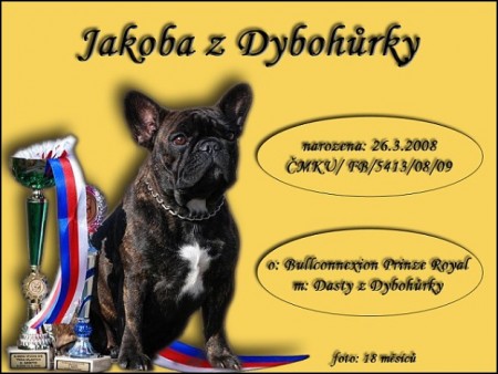 Jakoba z Dybohrky