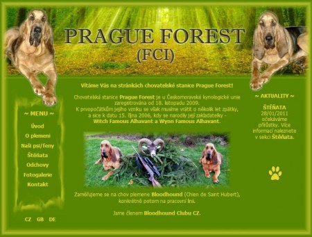 Prague Forest