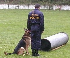 I u městské policie slouží jako psovodi ženy.