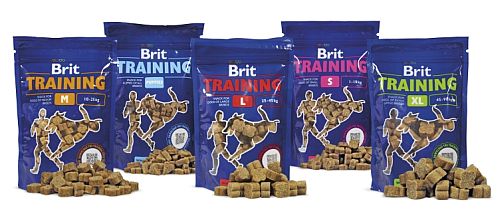 Brit Training