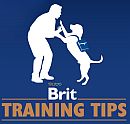 Brit Training Tips