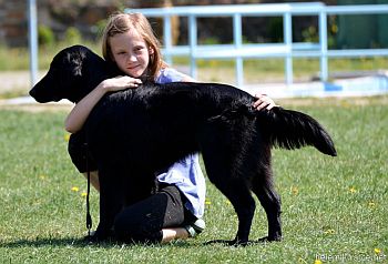 Sraz (nejen) flat coated retrievr