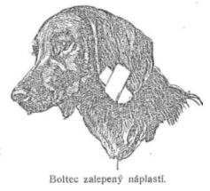 Boltec zalepen nplast