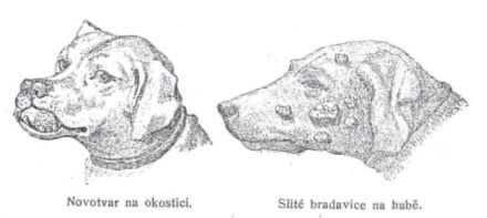 Novotvar na okostici - Slit brabavice na hub