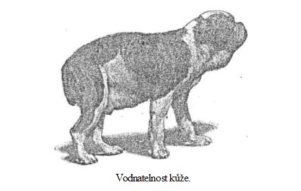 Vodnatelnost ke