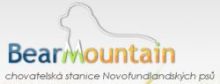 Bear Mountain - newfoundland kennel