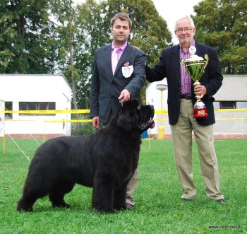 Newfoundland Bohemia Cup