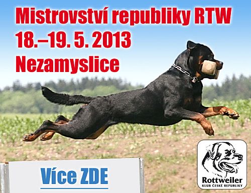 Mistrovstv republiky RTW