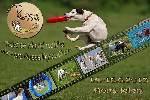 Russellíci v akci