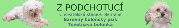 Z Podchotuc - Barevn bolosk psk - tsvetnaya bolonka