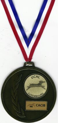 Medaile Luxemburg