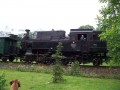 vlak přes zahradu