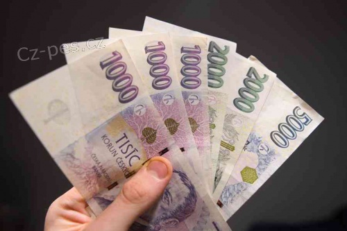 Nabídka bezplatných a nízkých financí