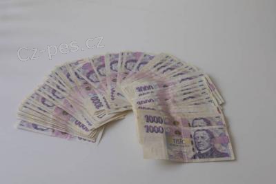 Půjčka od soukromé osoby bez podvodu Půjčka od soukromé osoby bez podvodu