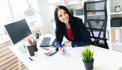 Peer-to-peer p�j�ky � Rychl� a spolehliv� �e�en�