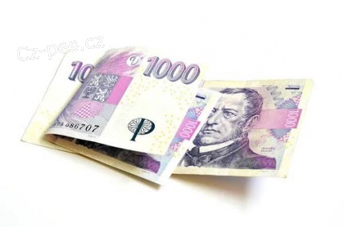 Okam�it� a efektivn� p�j�ka