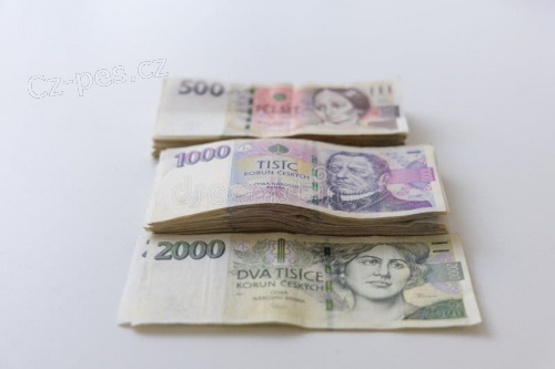 Spolehliv� �e�en� p�j�ek