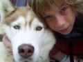 Husky ke kryt