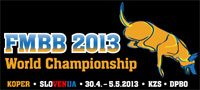FMBB World Championship 2013