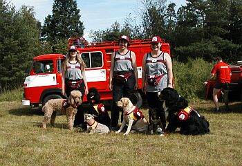 Canine Crisis intervention team ELVA-HELP from Czech republik , Europe